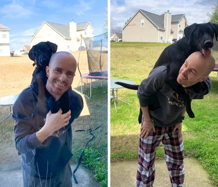 Prije i poslije: Pogledajte slike pasa i njihovih vlasnika dok zajedno odrastaju