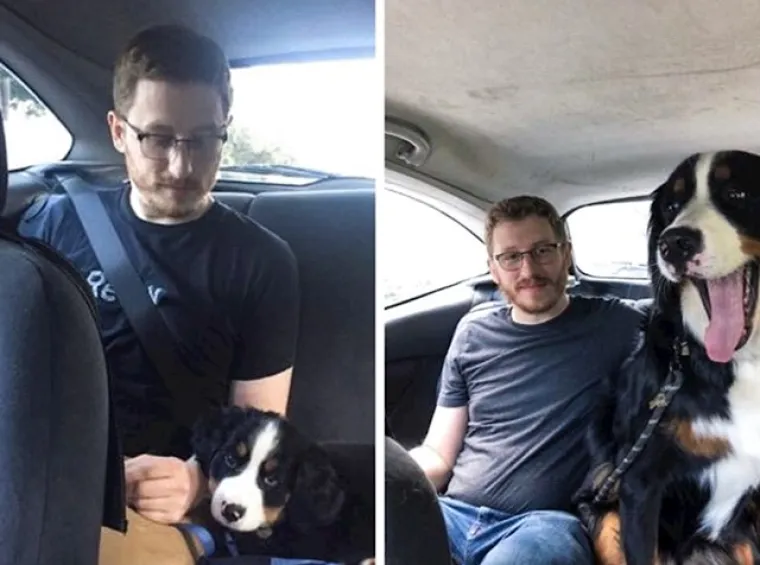 Prije i poslije: Pogledajte slike pasa i njihovih vlasnika dok zajedno odrastaju