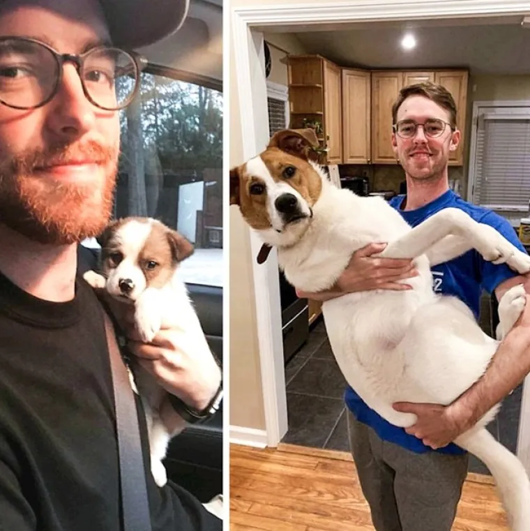 Prije i poslije: Pogledajte slike pasa i njihovih vlasnika dok zajedno odrastaju
