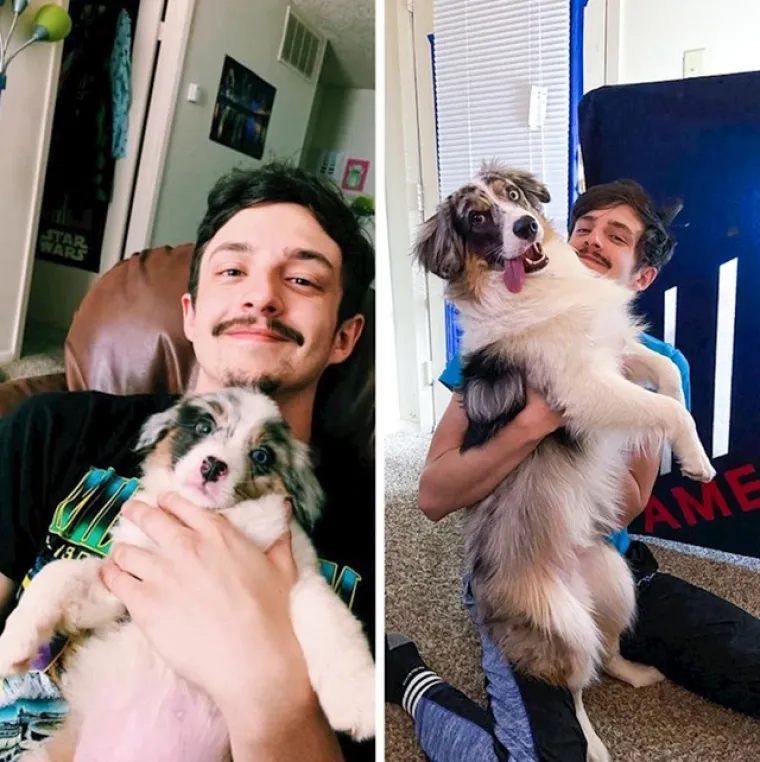 Prije i poslije: Pogledajte slike pasa i njihovih vlasnika dok zajedno odrastaju