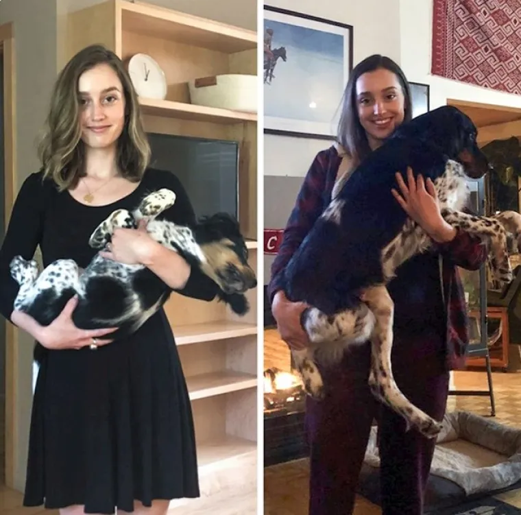 Prije i poslije: Pogledajte slike pasa i njihovih vlasnika dok zajedno odrastaju