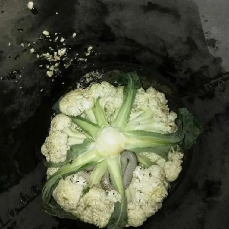 PRIZORI OD KOJIH ĆE VAS MOMENTALNO PROĆI JEZA: Znate ono kad vam prođu trnci u stopalima? E, to je to