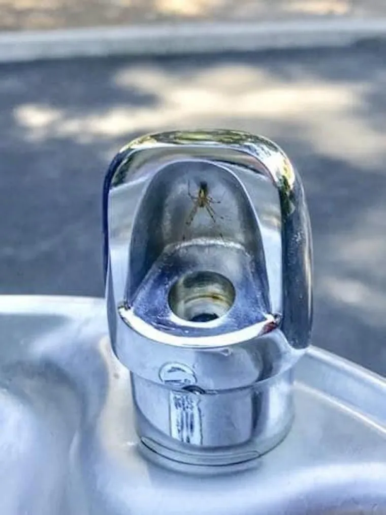 PRIZORI OD KOJIH ĆE VAS MOMENTALNO PROĆI JEZA: Znate ono kad vam prođu trnci u stopalima? E, to je to