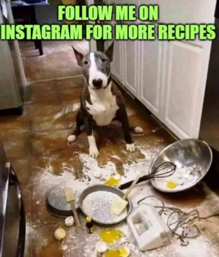 ŽIVI DOKAZI DA SE SRA*A DOGAĐAJU SVIMA, A NE SAMO VAMA: Možda će vam biti lak&scaron;e kad vidite ove failove