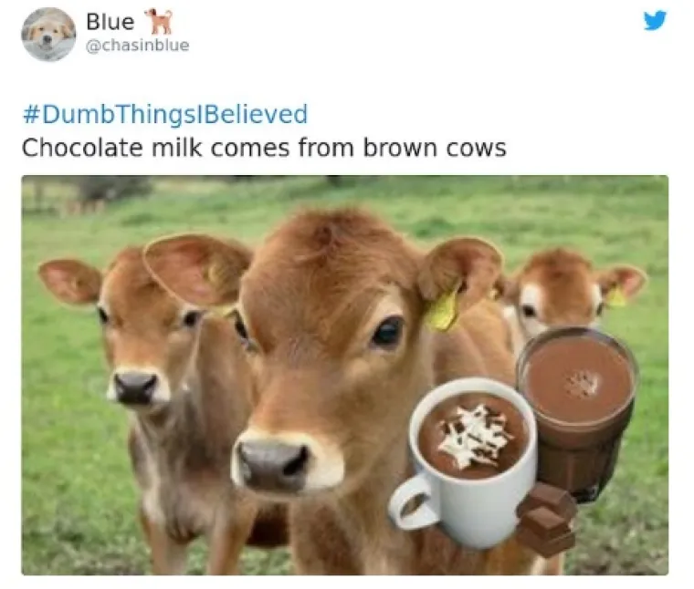 BEZ SRAMA OTKRILI U KOJE SU ZABLUDE DONEDAVNO VJEROVALI, NEMAMO KOMENTARA: 'Čokoladno mlijeko dolazi od smeđe krave, a Burkina Faso je osoba'