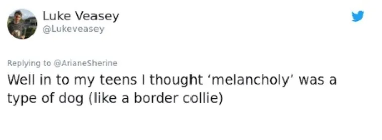 BEZ SRAMA OTKRILI U KOJE SU ZABLUDE DONEDAVNO VJEROVALI, NEMAMO KOMENTARA: 'Čokoladno mlijeko dolazi od smeđe krave, a Burkina Faso je osoba'