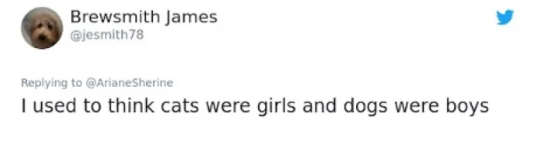 BEZ SRAMA OTKRILI U KOJE SU ZABLUDE DONEDAVNO VJEROVALI, NEMAMO KOMENTARA: 'Čokoladno mlijeko dolazi od smeđe krave, a Burkina Faso je osoba'