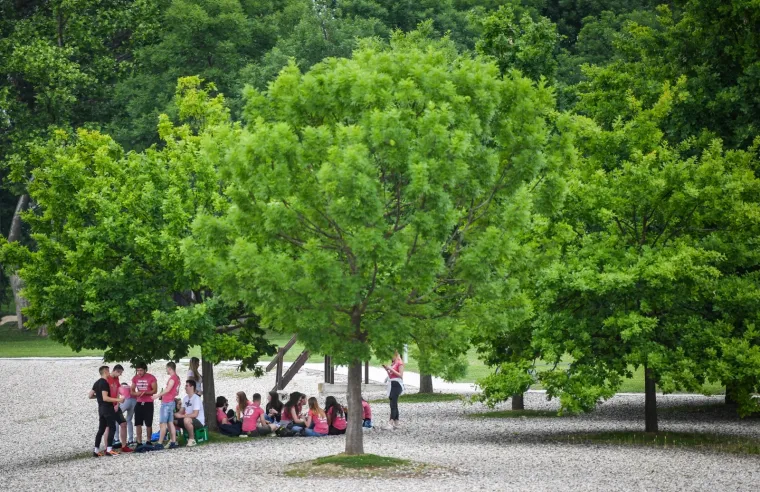 MATURANTI PARTIJAJU UNATOČ KORONI: Spontano su se okupili na Bundeku