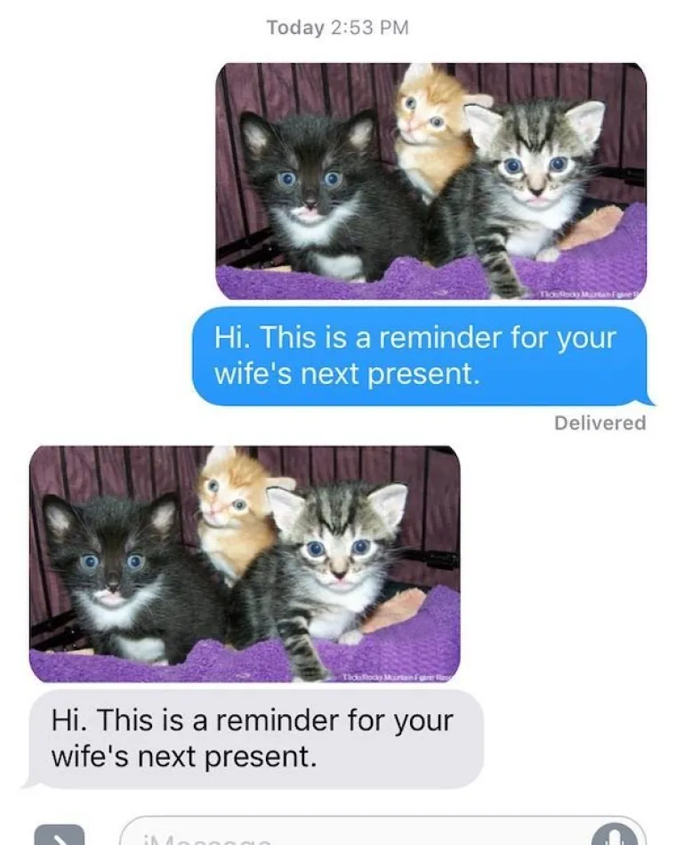 KAKVI SRETNICI: Ovi tipovi mogu se pohvaliti urnebesnim suprugama; evo s čime se svakodnevno moraju nositi