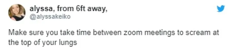 EVO JEDNA ZA SVE KOJI MJESECIMA VISE NA ZOOMU I VIDEO POZIVIMA: Znamo da će vam ovo biti bolno poznato