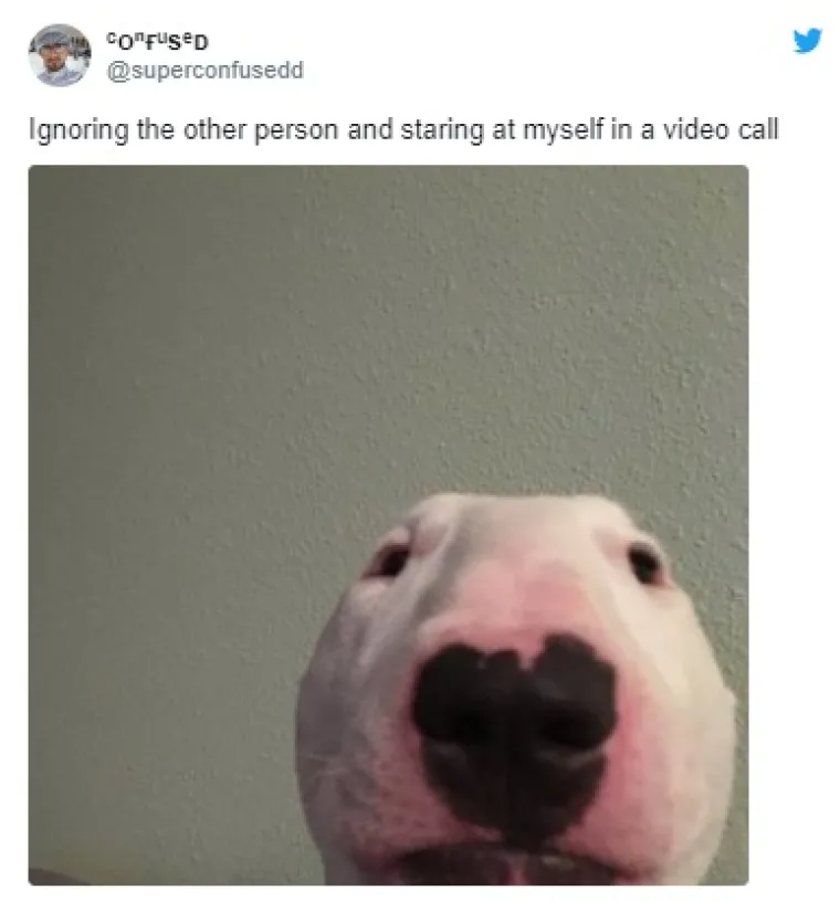 EVO JEDNA ZA SVE KOJI MJESECIMA VISE NA ZOOMU I VIDEO POZIVIMA: Znamo da će vam ovo biti bolno poznato