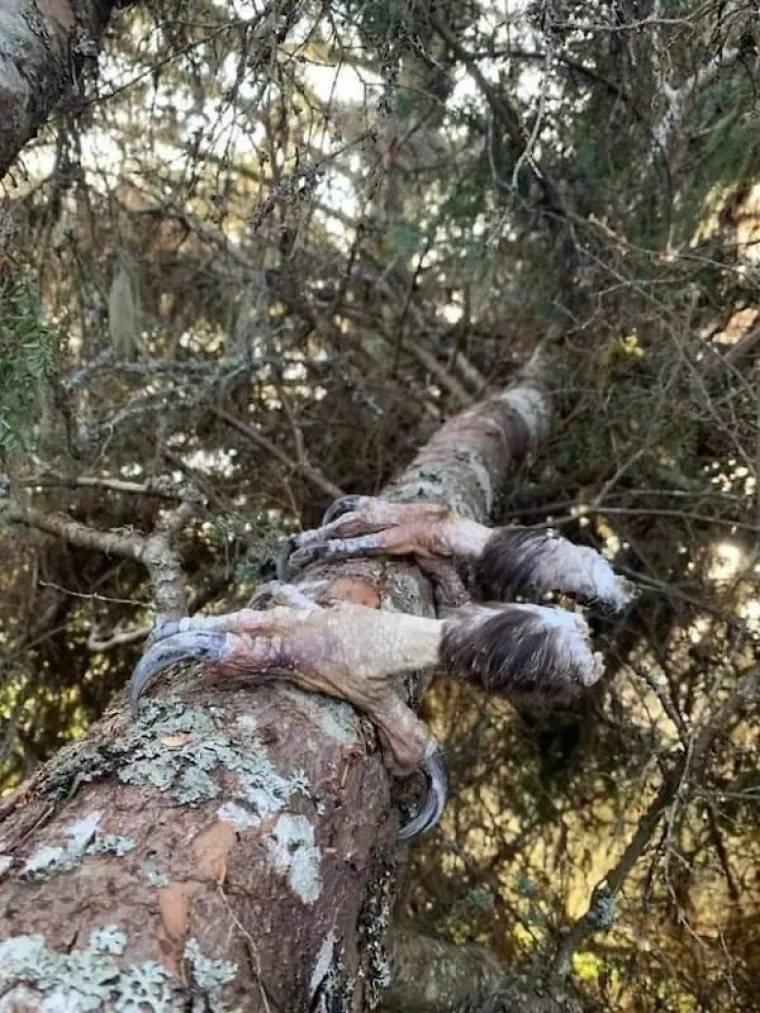 PRIRODA STVARNO ZNA BITI ODVRATNA: Ovakvi prizori ne viđaju se svaki dan - i neka tako ostane
