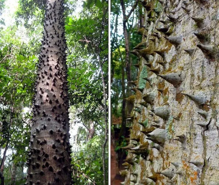 PRIRODA STVARNO ZNA BITI ODVRATNA: Ovakvi prizori ne viđaju se svaki dan - i neka tako ostane