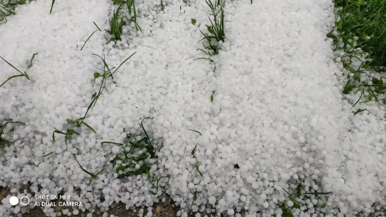 Grmljavinsko nevrijeme poharalo Međimurje: Puhao je jak vjetar, pala je i tuča