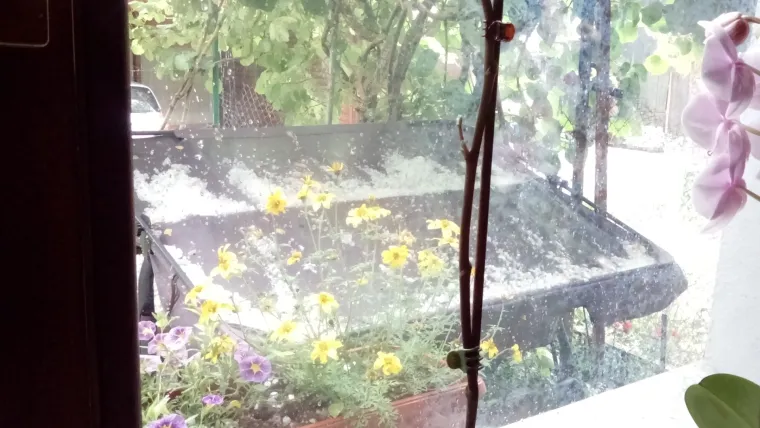 Grmljavinsko nevrijeme poharalo Međimurje: Puhao je jak vjetar, pala je i tuča