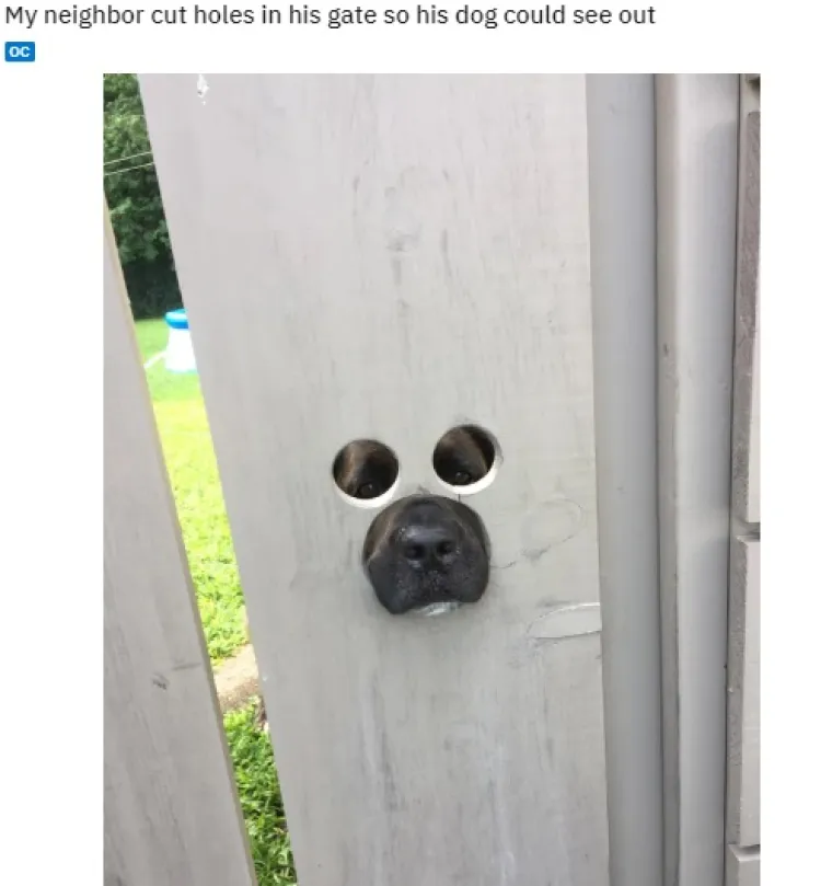 11 URNEBESNIH RJE&Scaron;ENJA ZA SVAKODNEVNE PROBLEME: Nema toga &scaron;to im život može prirediti, a da oni ne mogu rije&scaron;iti