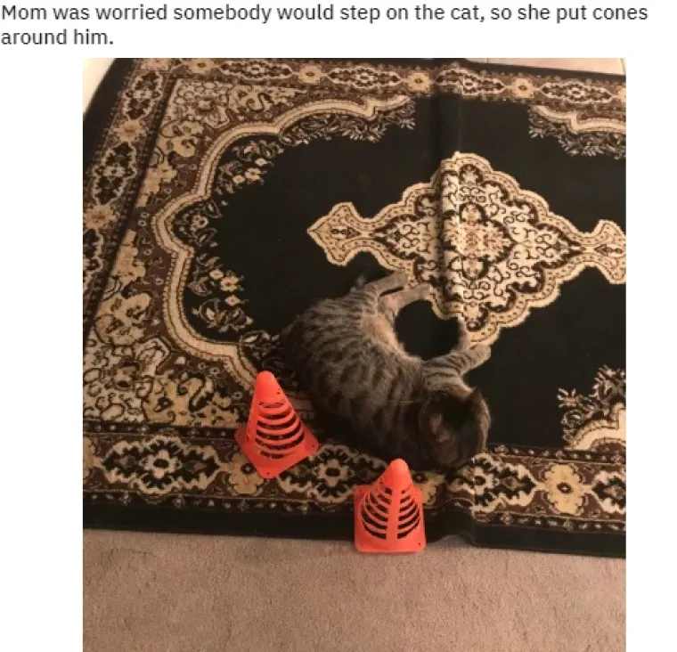 11 URNEBESNIH RJE&Scaron;ENJA ZA SVAKODNEVNE PROBLEME: Nema toga &scaron;to im život može prirediti, a da oni ne mogu rije&scaron;iti