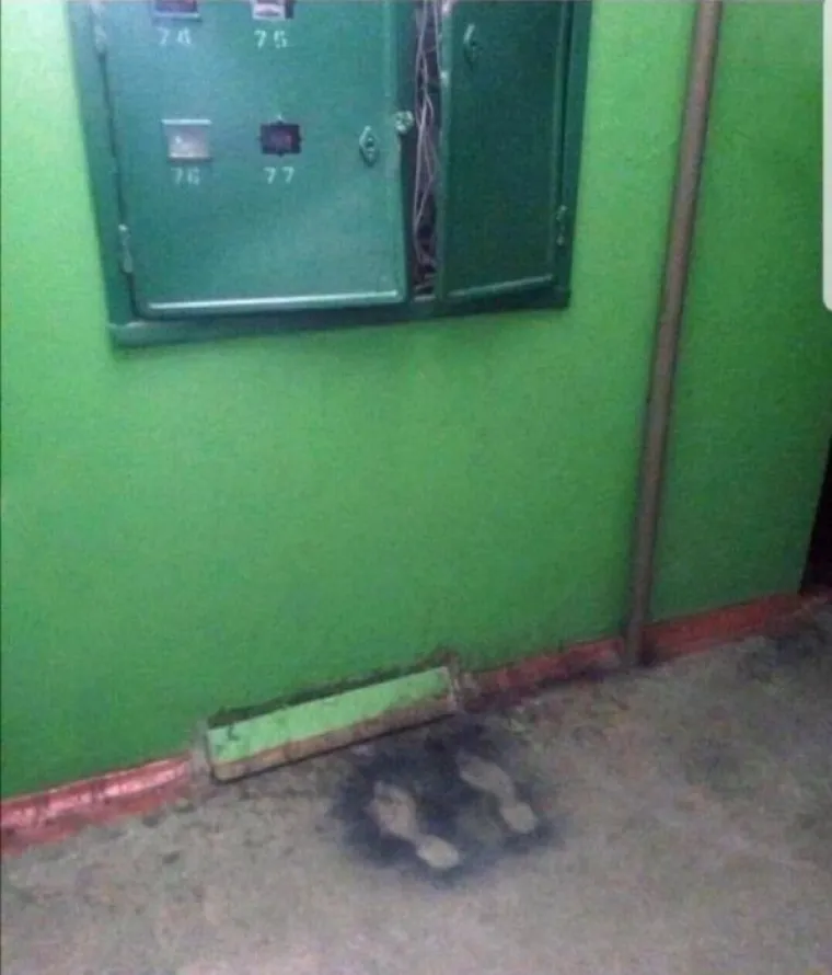 SLIKE KOJE ĆE VAS PROGANJATI U SNOVIMA: Samo najhrabriji će doći do kraja galerije