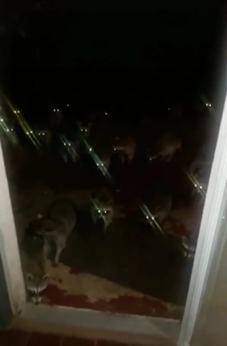 SLIKE KOJE ĆE VAS PROGANJATI U SNOVIMA: Samo najhrabriji će doći do kraja galerije