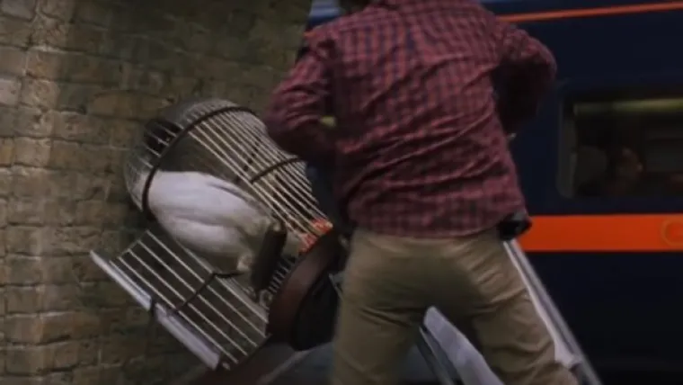 Da je u drugom filmu o dječaku čarobnjaku umjesto lutke upotrijebljena prava sova, životinja bi mogla biti ozlijeđena zbog sudara s pregradom. Zbog toga smo na strani zaštitnika životinja i sretni smo što nije bilo stvarno.