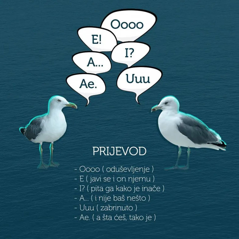 "Ajme opet nan se onaj lik u&scaron;teka": 15 izraza iz džepnog rječnika splitskog dijalekta