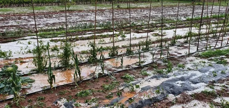 Snažno nevrijeme u Istri: Divovska pijavica i oblaci djelovali su kao da dolazi apokalipsa