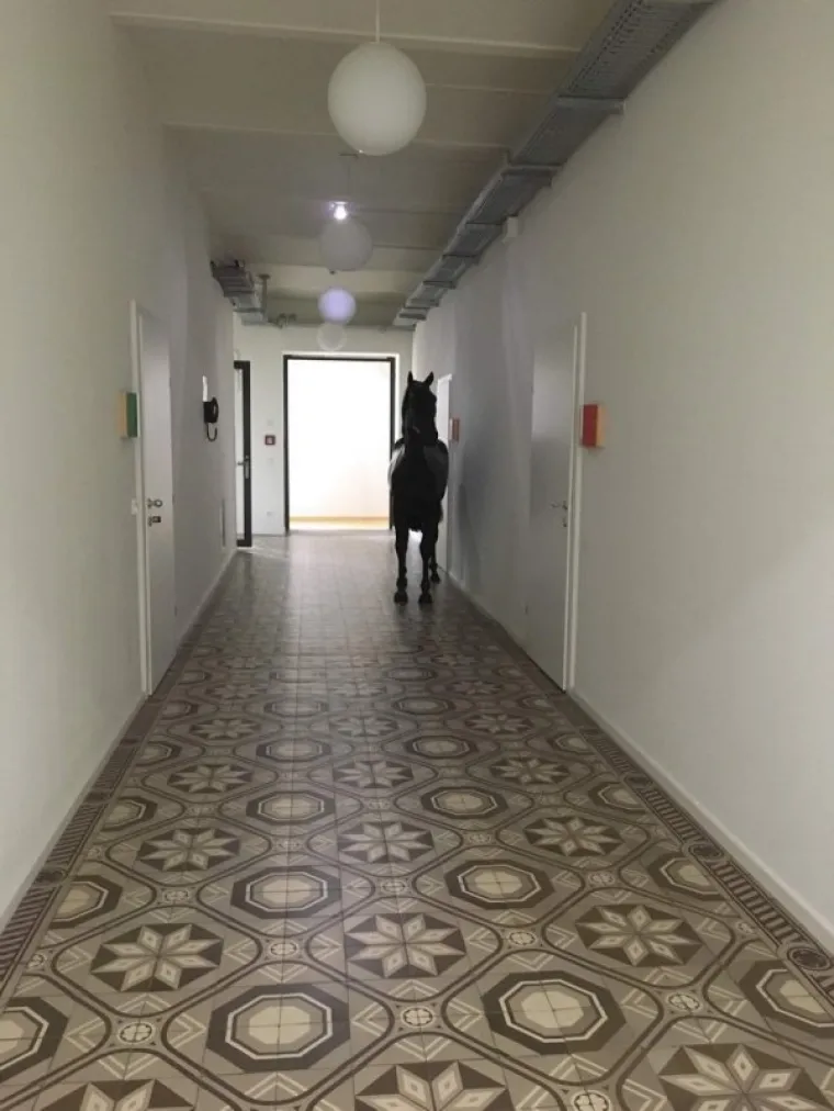 EH, DA VAM JE NA TREN UĆI U NJIHOVU GLAVU: Ali onda vam treba i njihov želudac jer va&scaron; ovo neće moći podnijeti