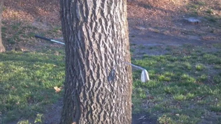 EH, DA VAM JE NA TREN UĆI U NJIHOVU GLAVU: Ali onda vam treba i njihov želudac jer va&scaron; ovo neće moći podnijeti