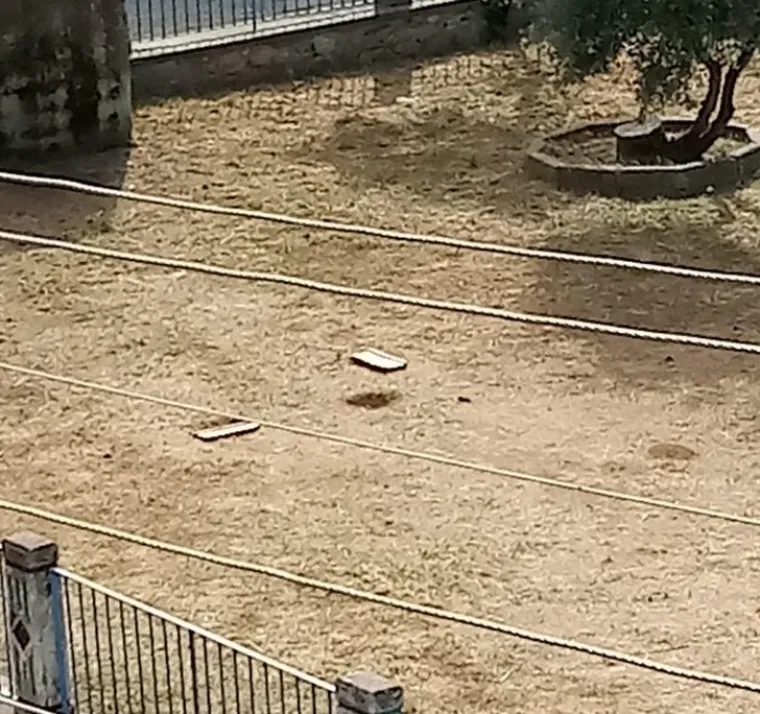 GREŠKA U MATRICI: Ove fotke morat ćete pogledati nekoliko puta da uopće shvatite o čemu se radi