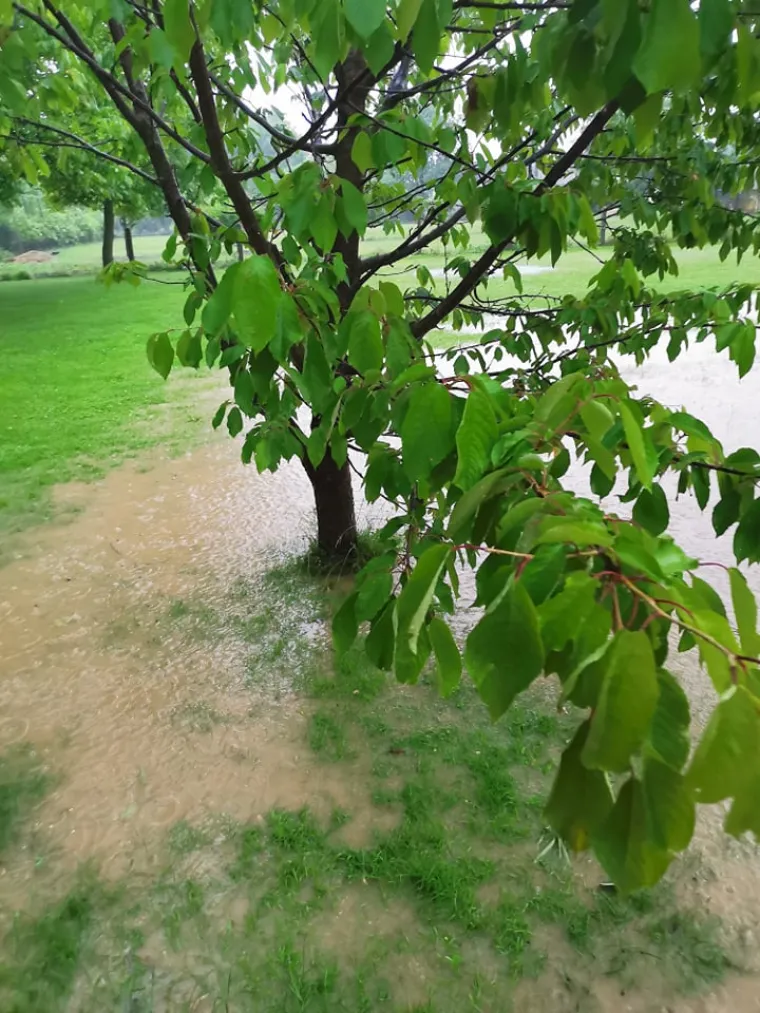 Izlila se Trnava u Međimurju, poplavljeni vrtovi i dvori&scaron;ta: Ljudi očajni - sve im uni&scaron;teno