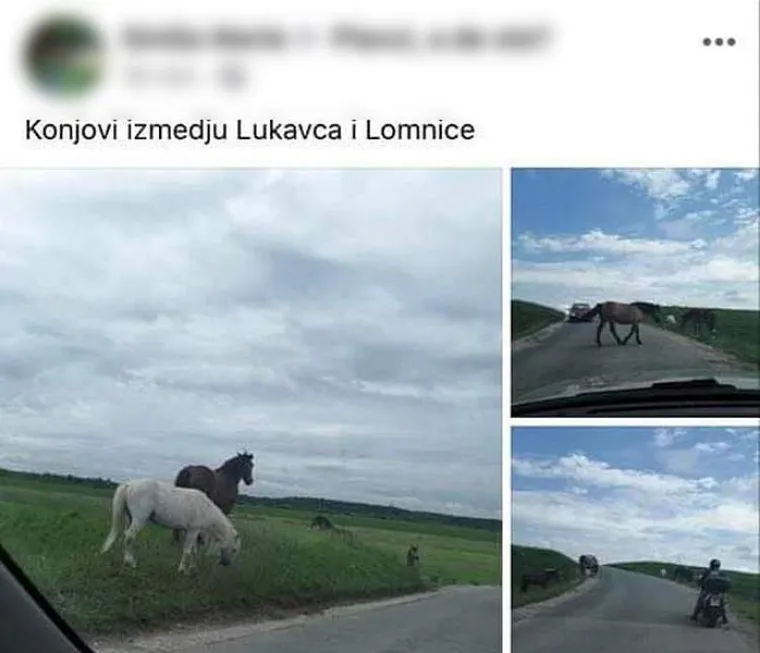 "Prodajem citicajzen": Nadamo se da va&scaron;i prijatelji ne objavljuju ovakve statuse na Facebooku