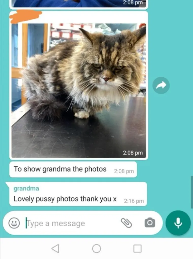 KAD SE PENZIĆI UHVATE INTERNETA: Da, izblamirali su se do maksimuma. Ako osjetite susramlje, imajte obzira