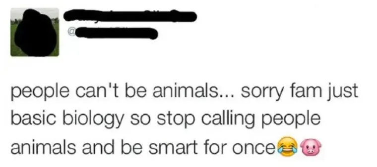 GLUPLJE PROVALE JO&Scaron; NISTE ČULI: Da, stvarno je moguće da nečiji mozak radi na ovoj razini