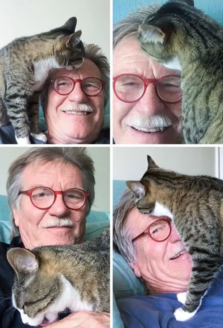 "Onda: 'Ako nabavi&scaron; mačku, požalit će&scaron;'
Sada: Obožava čuvati mačku i svaki put mi &scaron;alje selfieje"