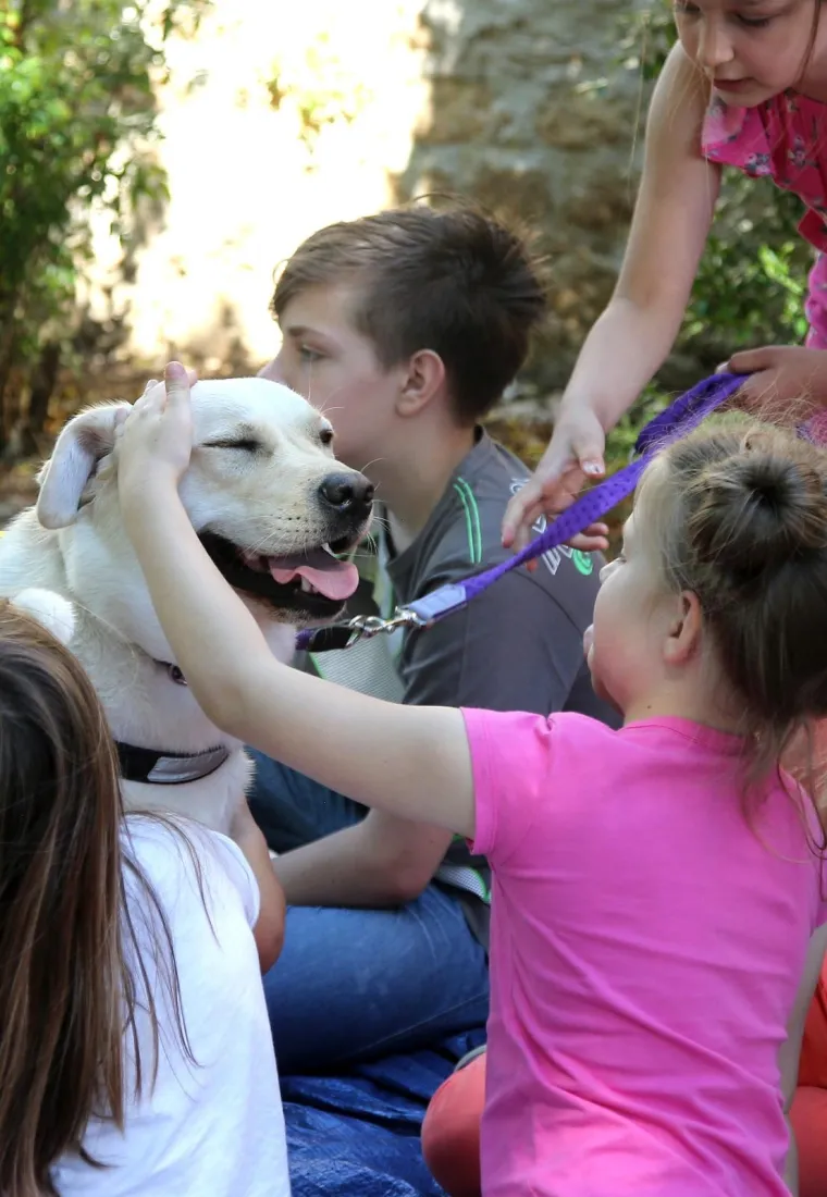 Druženje s terapijskim psom na 60. Međunarodnom dječjem festivalu