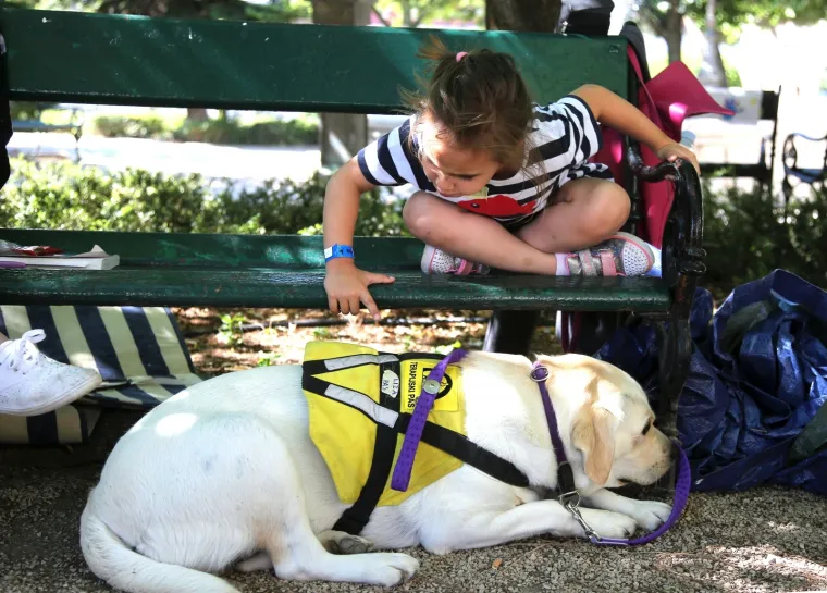 Druženje s terapijskim psom na 60. Međunarodnom dječjem festivalu