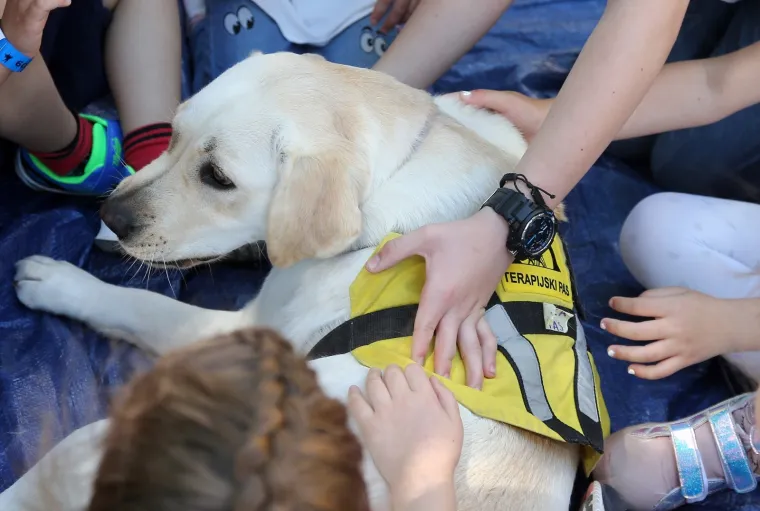 Druženje s terapijskim psom na 60. Međunarodnom dječjem festivalu