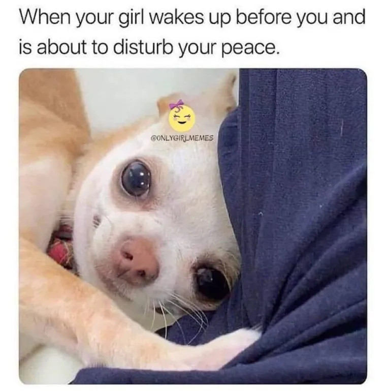 DEČKI, ZNATE  &Scaron;TO? NE MORATE SE NI TRUDITI: Ove memeove, vrlo vjerojatno, mogu shvatiti samo cure