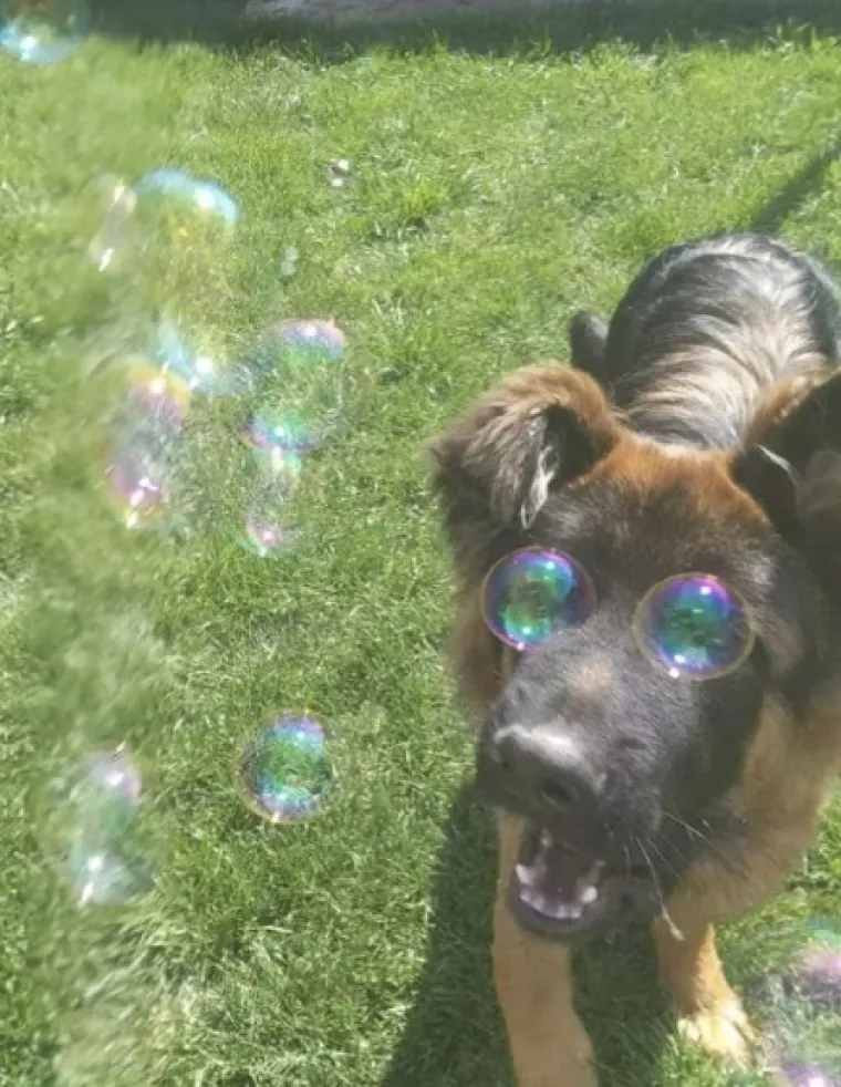 PA KAKVE SU BILE &Scaron;ANSE DA SE OVO DOGODI? Živi dokazi da je nekad ba&scaron; sve moguće