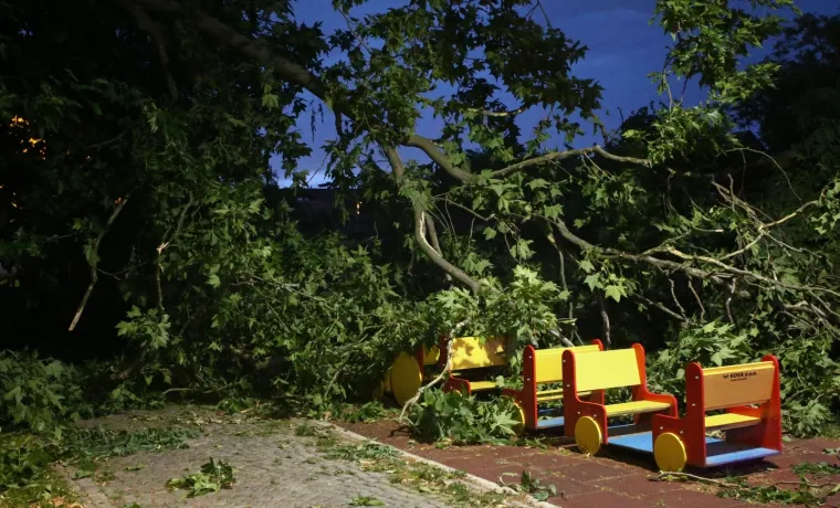 Nevrijeme pogodilo Zagreb i okolicu: Vjetar sru&scaron;io krov na zgradi i stabla u parku