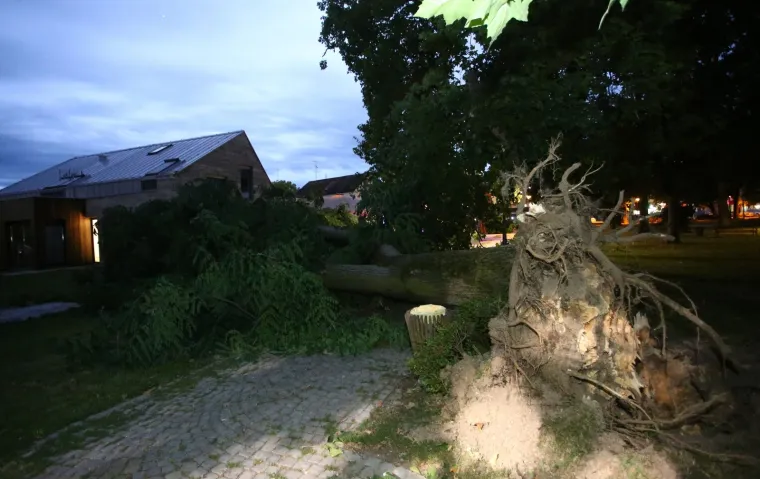 Nevrijeme pogodilo Zagreb i okolicu: Vjetar sru&scaron;io krov na zgradi i stabla u parku