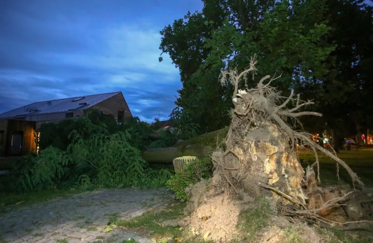 Nevrijeme pogodilo Zagreb i okolicu: Vjetar sru&scaron;io krov na zgradi i stabla u parku
