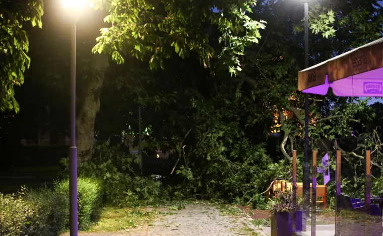 Nevrijeme pogodilo Zagreb i okolicu: Vjetar sru&scaron;io krov na zgradi i stabla u parku