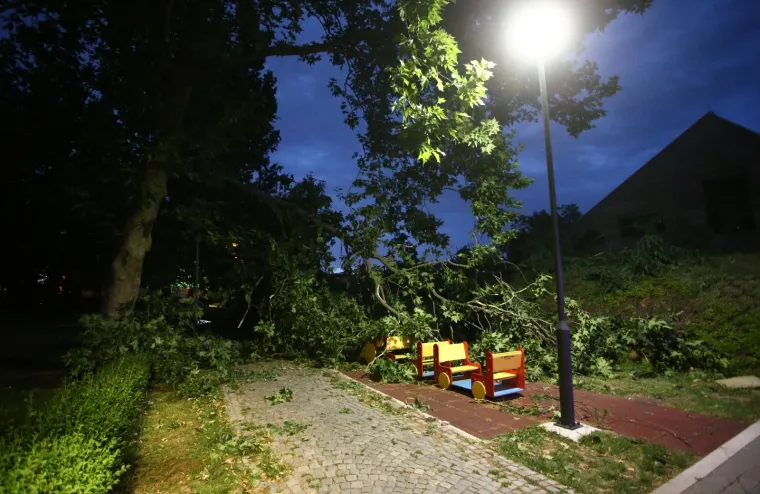Nevrijeme pogodilo Zagreb i okolicu: Vjetar sru&scaron;io krov na zgradi i stabla u parku