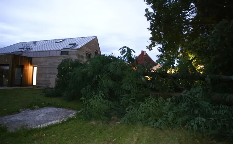 Nevrijeme pogodilo Zagreb i okolicu: Vjetar sru&scaron;io krov na zgradi i stabla u parku