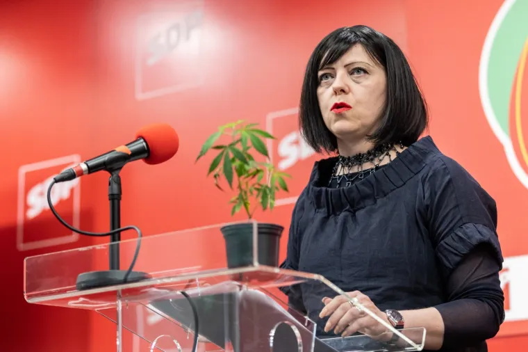 O zakonu su govorile predsjednica Savjeta za zeleni razvoj SDP-a Mirela Holy i Vesna Nađ.
