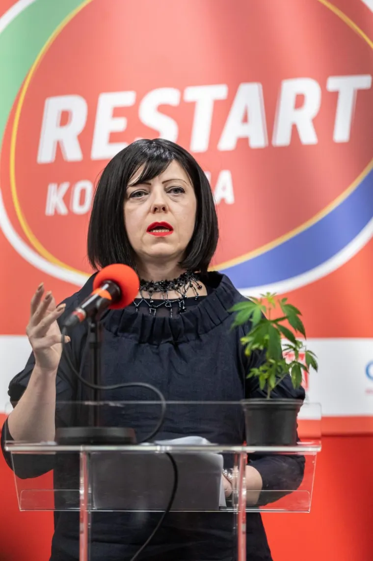 MIRELA HOLY PREDSTAVILA 'LEX CANNABIS': U žardinjeru iza SDP-a posadila jednu biljku