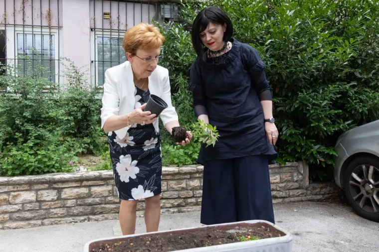 MIRELA HOLY PREDSTAVILA 'LEX CANNABIS': U žardinjeru iza SDP-a posadila jednu biljku