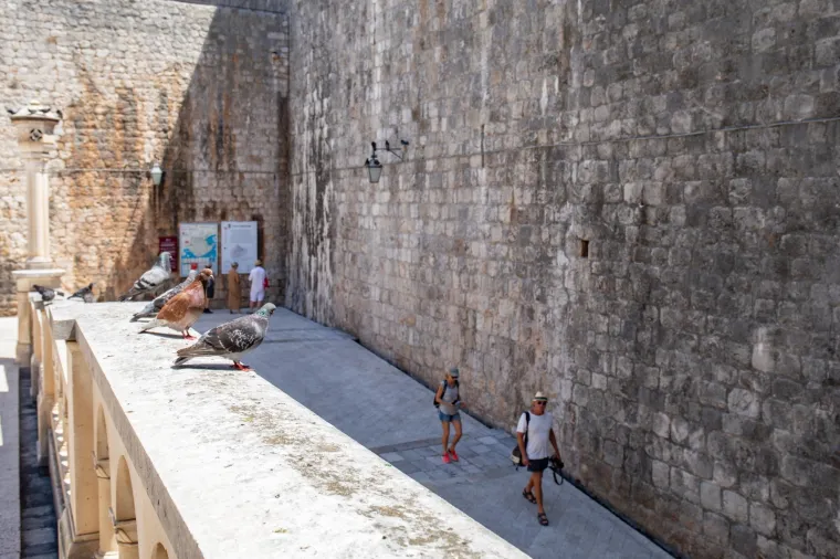 Usred turističke sezone: Poluprazne ulice stare dubrovačke jezgre