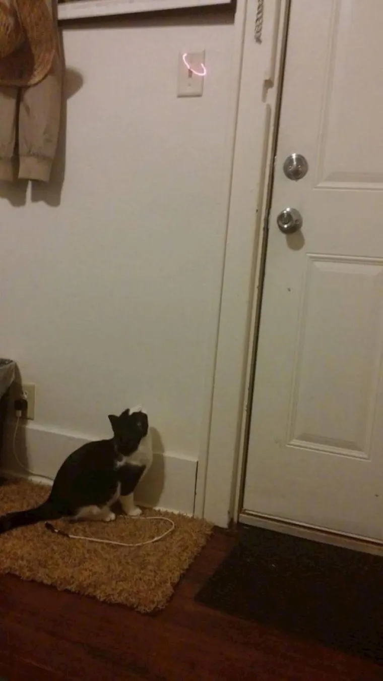 Ovi ljudi su prona&scaron;li genijalna rje&scaron;enja samo kako ne bi trebali raditi